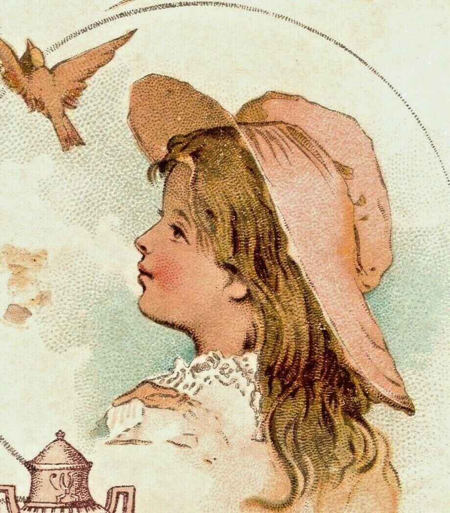 C.1880/90s Dilworth Coffee. Adorable Girl. Birds. Victorina Trade Card
