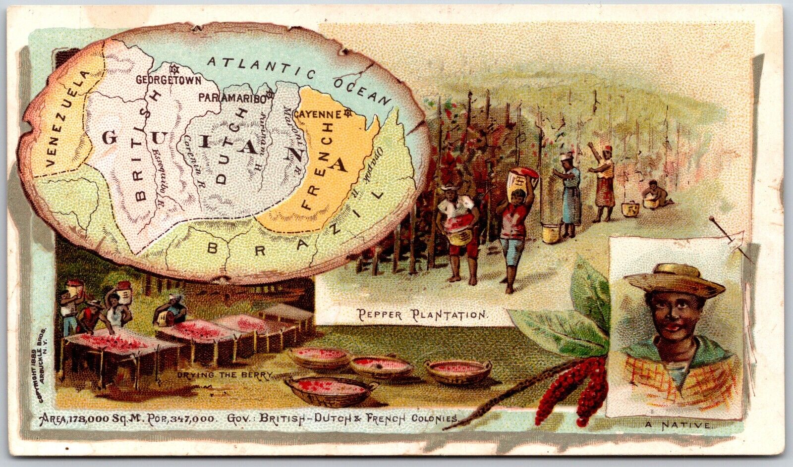 Guiana, Pepper Plantation, #87 - Arbuckle Bros. Coffee Co., Victorian Trade Card