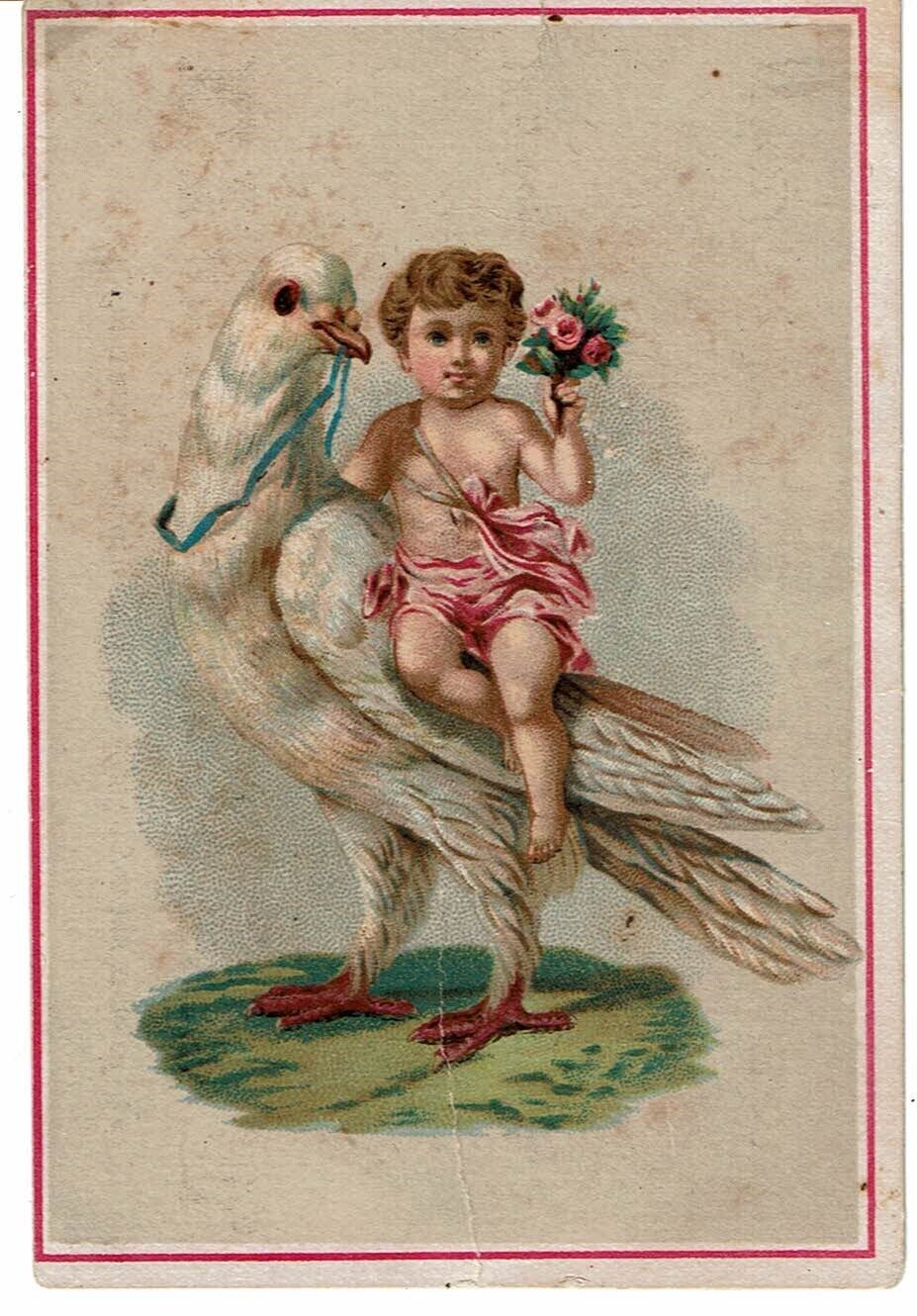 1800s Victorian Trading Card Baby Riding Dove Bird Jersey Coffee Woolson Spice