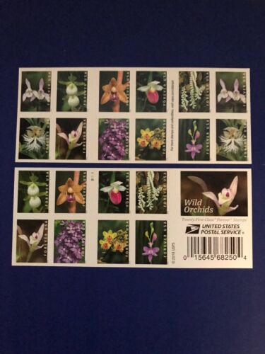 Us Wild Orchids Forever Booklet (20 Stamps) Mnh (2020)
