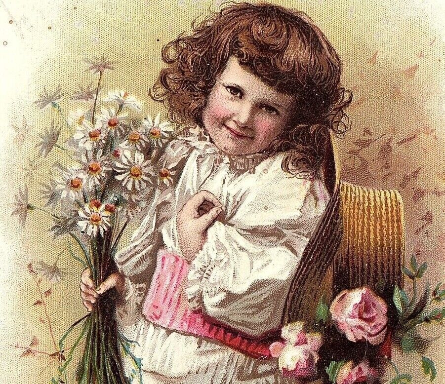 1894 Lion Coffee Woolson Spice Co. Victorian Trade Card Charming Girl & Daisies