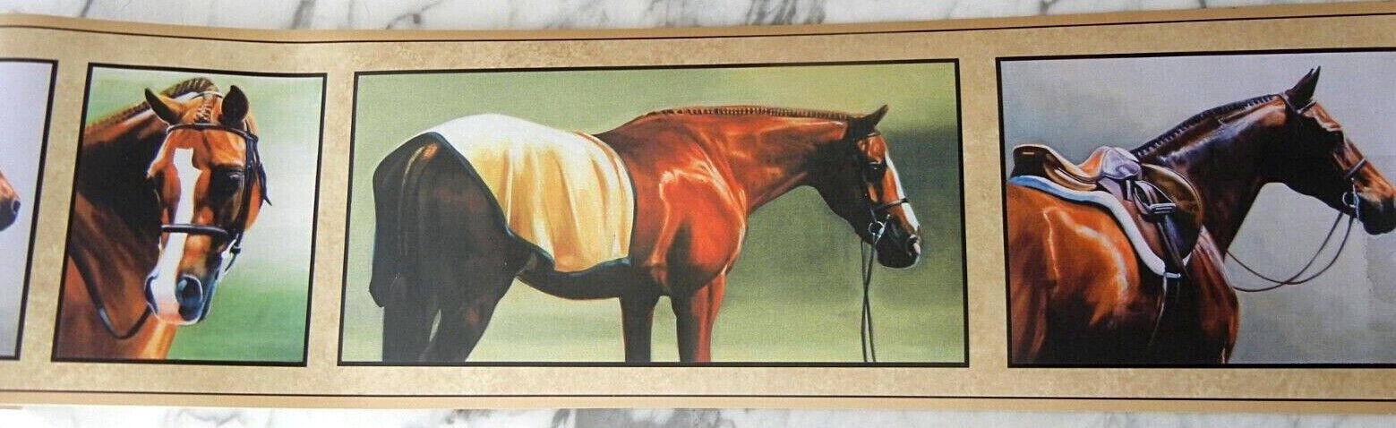 Equestrian Horses Wallpaper Border By York Prepasted